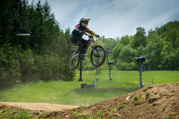 Découvrez les Richesses et Nuances des Styles et Écoles de Taekwondo